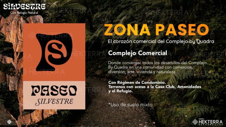 Zona Paseo el corazón comercial del complejo