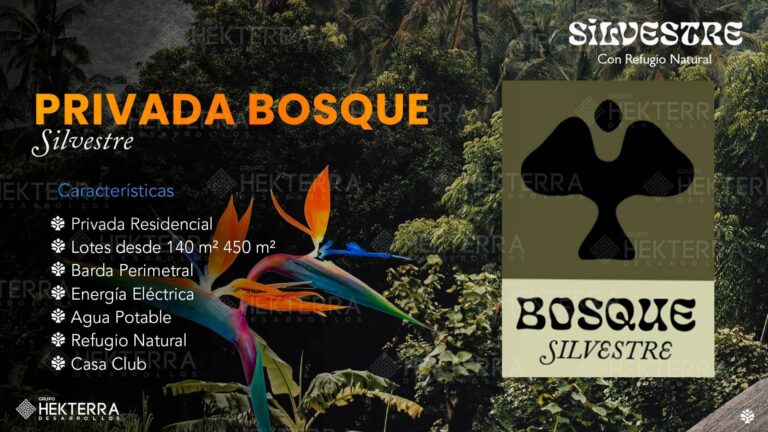 Privada Bosque del Desarrollo Silvestre en Yucatán